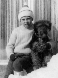 Foxteriér Blesk